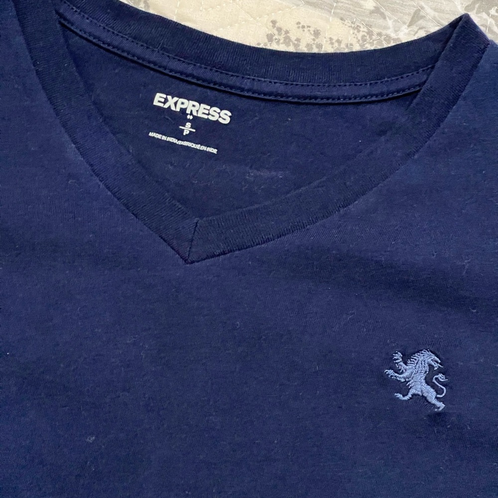 Express mens v neck small